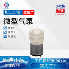 38VPM�S��С��ֱ�������ĭ�����������Ĥ����΢��ˮ�Ú��12v24
