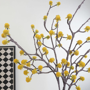 �Lֲ֧�q����횹�����Gֲ��֦ˇ�g���ͻ�c��ˇ����ʽ�Ҿ��b�