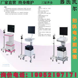 电子阴道镜诊断系统（普通型）/纤维胃镜/内窥镜/阴道镜