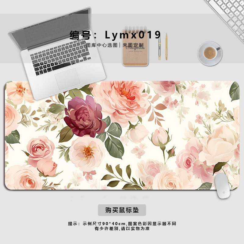 Lymx019