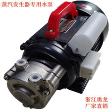 浙江奥龙多级旋涡泵1/4W-220电加热蒸汽发生器DWL550锅炉水泵配件