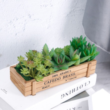 仿真多肉植物木质盆栽多肉多肉家居摄影办公装饰摆件植物高仿真