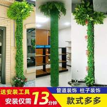 ٘Ƥܵbˮړ̨҃쾰