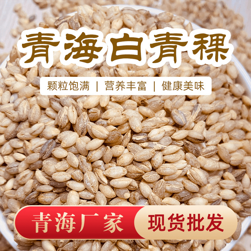 [Qinghai Straight Hair] White Highland Barley Rice New Rice Qinghai-Xizang Plateau Specialty Coarse Grains Coarse Cereals Cooked Porridge with Peel Highland Barley