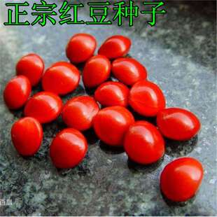 �����²ɼt���N�� ���t���N�� ��˼�t���� ��ȸ�� �G����ľ��N��