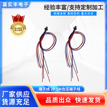 �ω����Ӿ�2P SM���^���z�B�Ӿ����Ԫ������������ �ӹ���Ӿ�