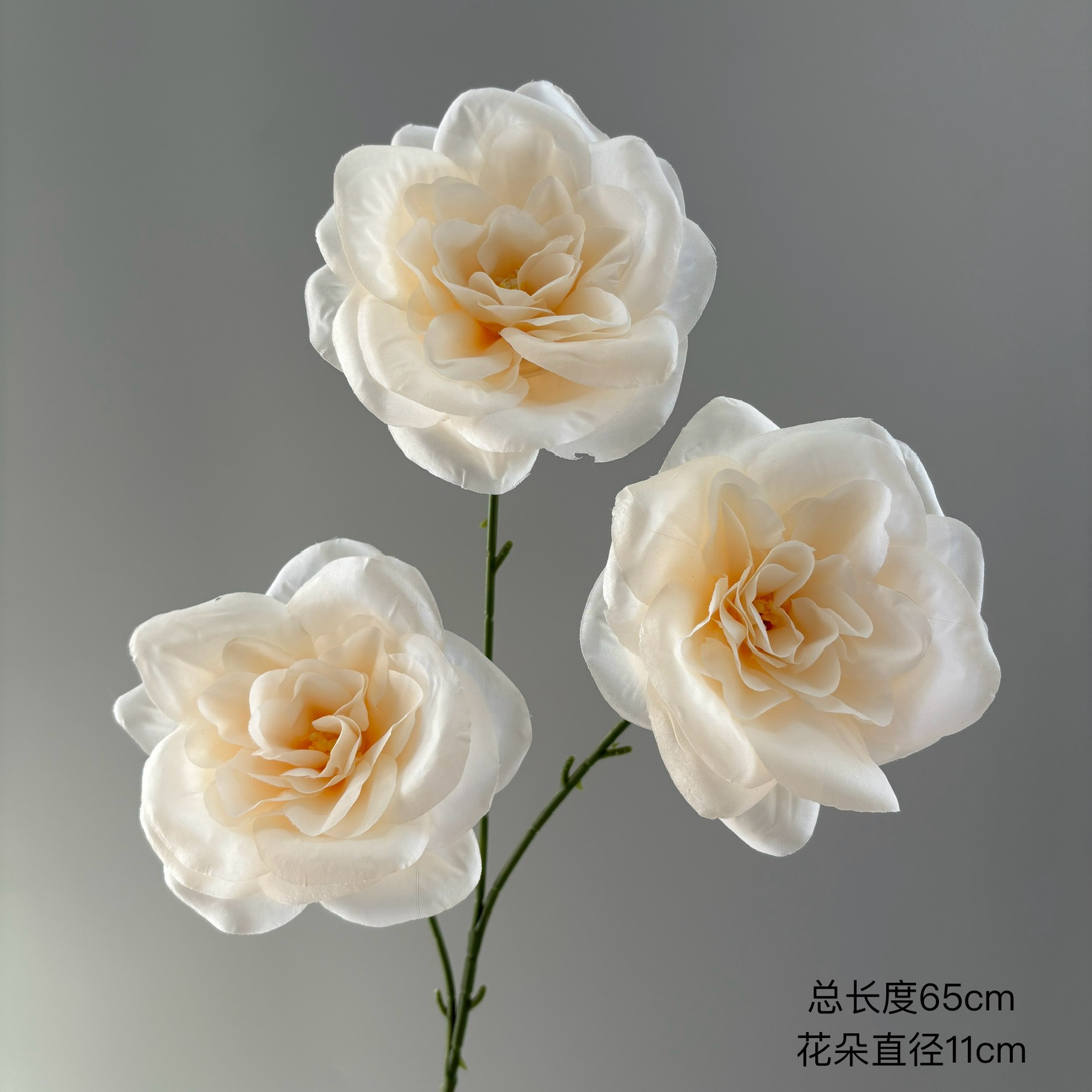 행운의 꽃