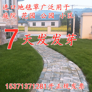 ͥԺ��̺�ݲ�Ƥ���Ѱ����ļ�����ɷf����̲��޼���ƺ���`̤