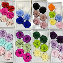 �؃rõ��5-6cm����������Ͱ�ֹ�diy�����ֻ��в���������õ�廨�^