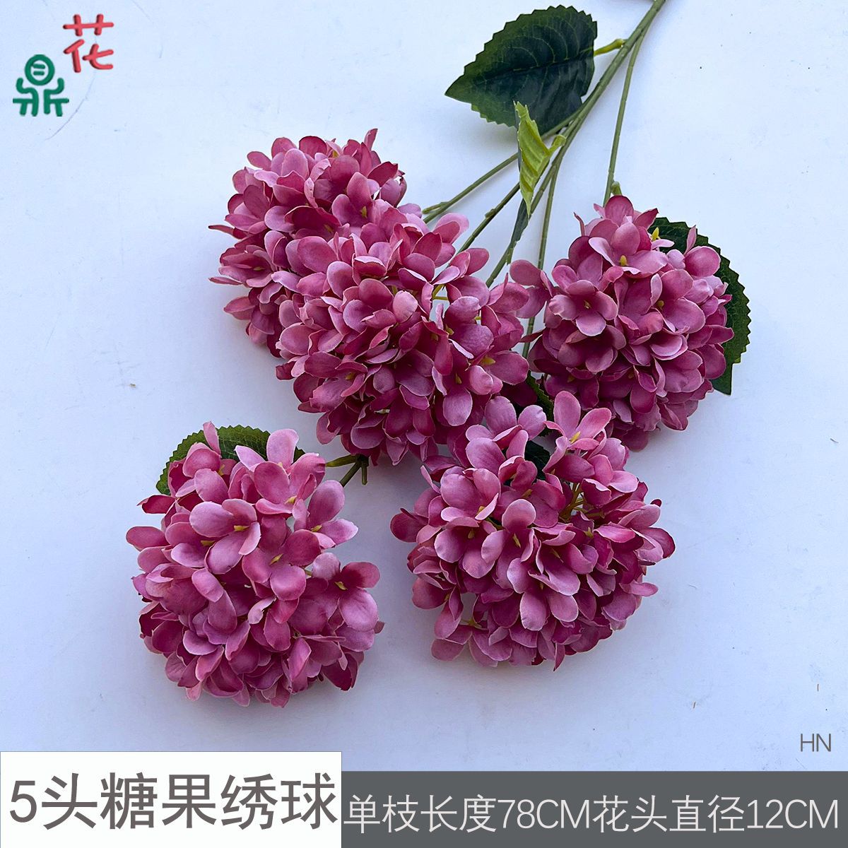 5등신 캔디수국 HN 된장색