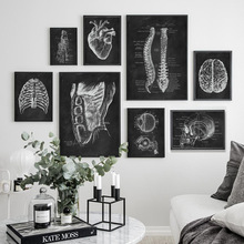 北欧极简后现代黑白色系人体美学骨架心脏抽象艺术客厅定制装饰画