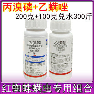 ���\������׼t֩�댣�Ú��\���S��֩�뽑��ʭ�߲˸��ٹ���300��