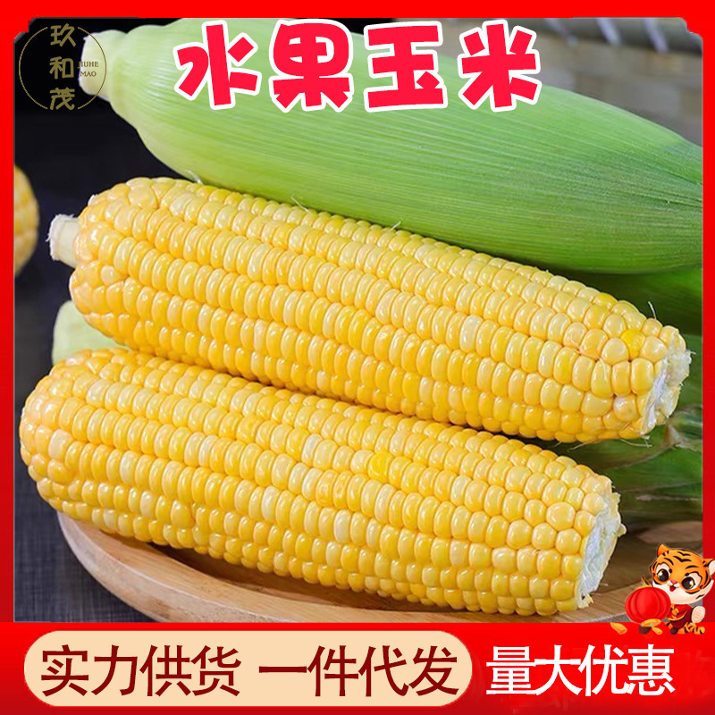 Authentic Golden and Silver Fruit Corn 4.5kg Whole Box Vegetables Sweet Glutinous Corn Wholesale Free Shipping 10 Yunnan Glutinous Corn Sweet and Fragrant
