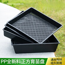 SҼӺѿPѨPѿбPlѿNֲЬ