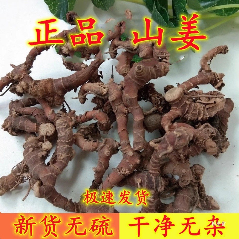 山姜  箭杆风 山栀山姜 九姜连 九龙盘 500克包邮真货好货
