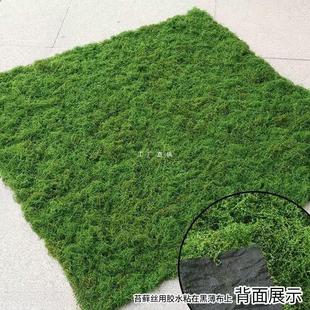 ���ֽz�����Ƥ��ƺ��̦�\����̦�쾰�b��˹���Ƥ��