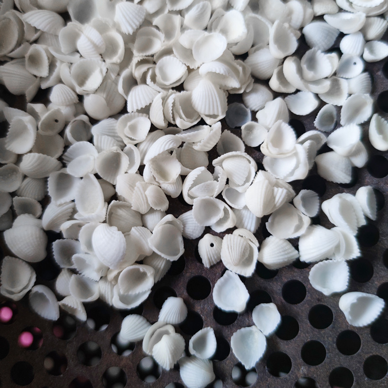 Natural Marine Shell White Scallop Crafts Accessories Nail Shell Micro View Special 0.5cm Small Scallop Natural Marine Shell White Scallop Crafts Accessories Nail Shell Micro View Special 0.5cm Small Scallop