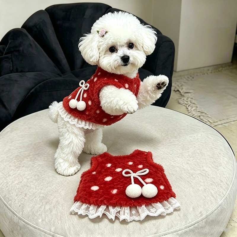 가을, 겨울 강아지 보온 기모 옷 빨간색 웨이브 레이스 기모 조끼 중소형견 테디 비숑