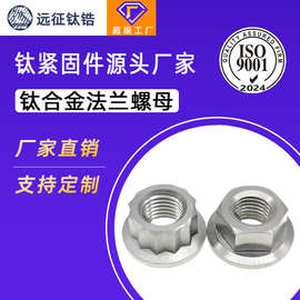 钛合金TC4六角法兰螺母十二角法兰螺帽特殊防拆电动车摩托车改装