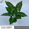 18 white -headed taro leaves 18 heads of water Guanyin Engine