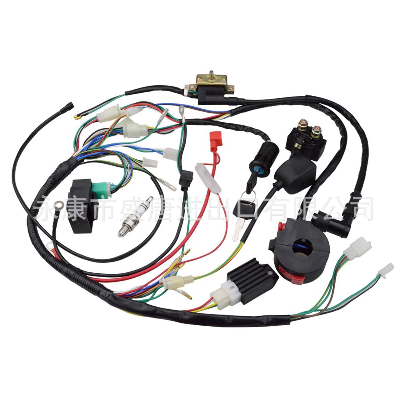 Complete Electrical Wiring Harness Rectifier Cdi Solenoid Valve Spark Plug Suitable for 50Cc-125Cc Atv Power Supply