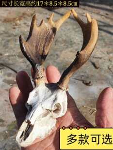 ��֬�^���쾰��̨������ܸC��B��[�������̨ˮ���~���b�ɽ