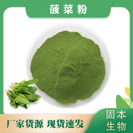 菠菜粉 菠菜汁粉 水溶性菠菜提取物 菠菜喷雾粉 厂家现货包邮1KG