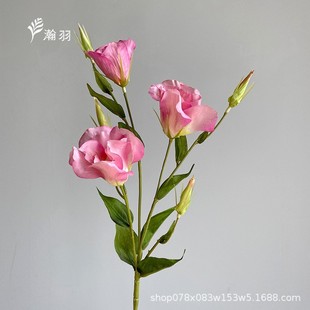 �羳�؃r3�^�۹������滨 3��4�� �Ҿ��b[�������zӰ���ջ�c
