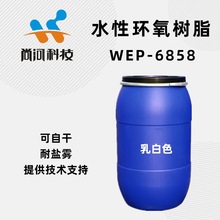 现货可分装自干烘烤耐盐雾耐分散体浸润剂水性环氧树脂乳液单组份