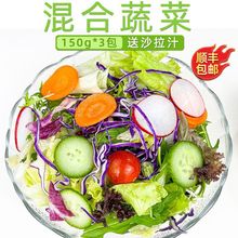 绿食者 混合蔬菜沙拉套餐3包 新鲜蔬菜色拉生菜轻食健身食材配菜