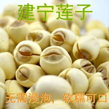 ɏ�ӽ�����ɏ������ɏ�o�����ȥоȥƤ����I�BܛŴ�o���������