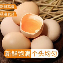 �u�����l���µ�_������30ö�r��ɢ�B�����u�����r�F�����u��