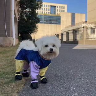 ����������K���򱳎�ѝ������С��Ȯ̩���B�wѝ�_�׌����B�wЬ��