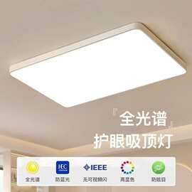 led客厅灯长方形大灯简约现代大气温馨吸顶卧室灯阳台灯具阳台灯