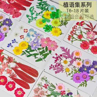 混合干花diy材料包化妆造型个人写真贴脸妆压花真花植物标本