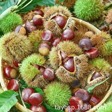 2025���������l 40-60/30-40/40-50KG