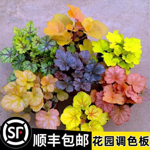 �\�����Ի���ֲ���҃Ȼ����ļ������^�~�ͺ��GֲͥԺ�ر��G������