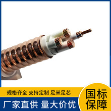 廠價供BTTRZ YFD-BTTRZ柔性礦物質絕緣防火電纜 防火 阻燃 耐高溫