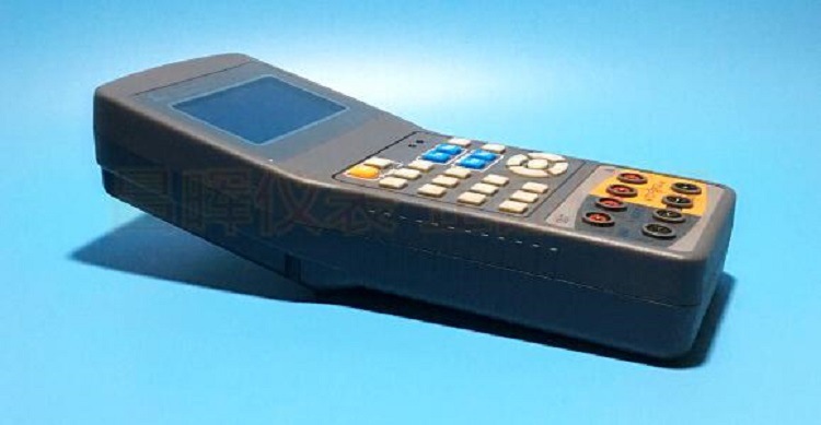 便携式校验仪 型号 CW12-SWP-CA102S  库号 M335461