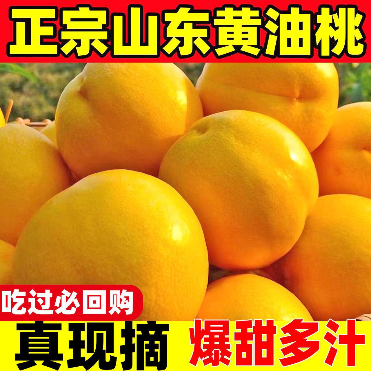 【新品上市】山东蒙阴脆甜黄心桃子黄金油桃新鲜水果当季孕妇季1