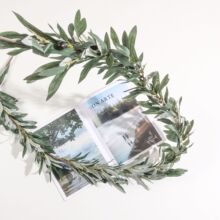 1.8�׎����ϙ��ٗl �����ϙ��� �߱����}�Q���f�}���bGֲ�ٻ�