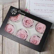 ����A��5-6cm��ͷ6��װõ�峵����в�����DIY���������ϰ�