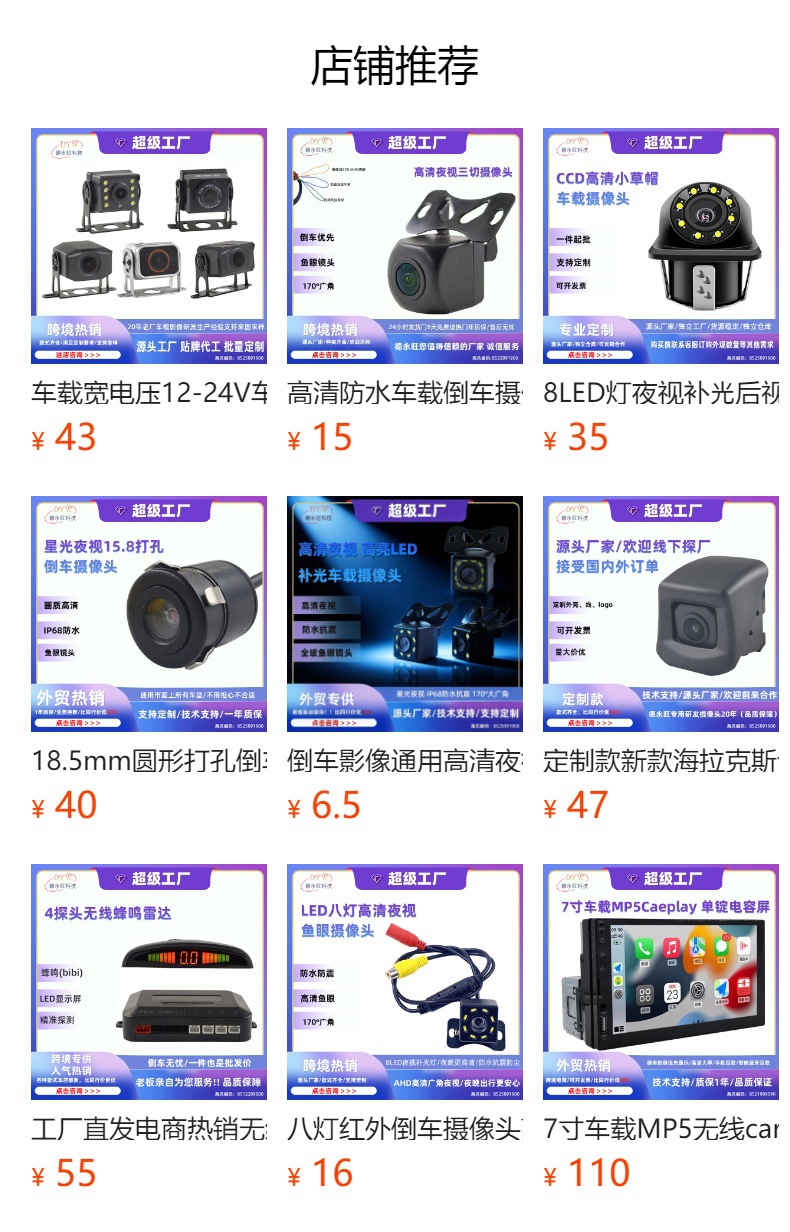 High-Definition Fisheye Car Camera with Night Vision, Reversing Ahd Switchable Ccd Blind Spot Camera