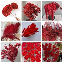 �tɫϵ��N���ĸɻ���������c��Y���Դ�^���S�S��ֱ�l�滨���l