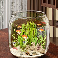 鱼缸生态缸客厅小型2025新款桌面观赏塑料圆形一体成型仿玻璃防摔