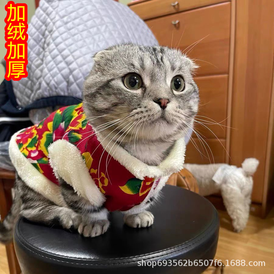 새해 당나라 정장 강아지 대형 꽃 면화 자켓 조끼 테디 BICHON 작은 강아지 가을, 겨울 애완 동물 고양이 옷