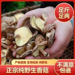 野生香菇无硫干香菇云南特产新鲜天然正宗香信菇蘑菇小香菇鲜香菇