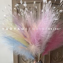 �¿��JȔ������ȸ�݉��û�Y�쾰���Ⲽ�÷��������ë�����b�