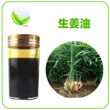 ����������Ħ���ͻ�j��ȫ������Ժ�����_�����w�l��ֲ�� ������