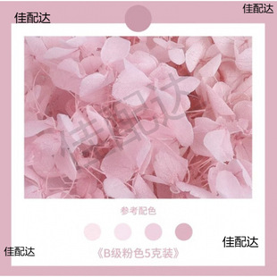 �黨��������l�b��仨�����Y�н�����ִ��N���o�˶Y�ɻ�����